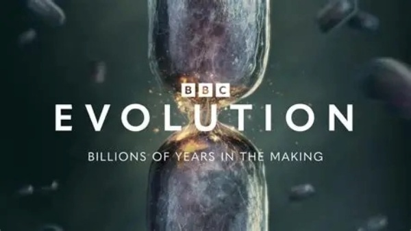 Evolution : La date de sortie annoncée pour la série PBS et BBC qui retrace l’histoire de la vie.