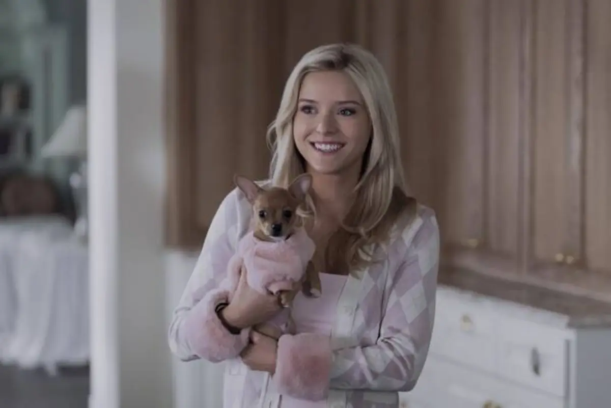 Legally Blonde : Le préquel suit ‘Elle’ à Seattle, toutes les infos sur l’intrigue.
