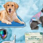 Summer Pet Essentials on Amazon
