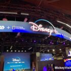 Disney+ panel