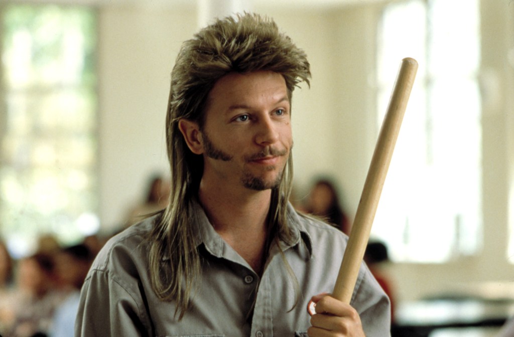 Joe Dirt : Une série animée annoncée sur Fox, David Spade reprend son rôle.
