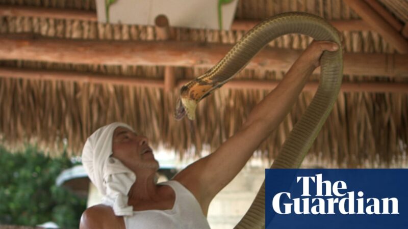Tiger King : L’histoire incroyable et tordue derrière le nouveau documentaire révélée.