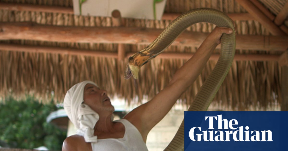 Tiger King : L’histoire incroyable et tordue derrière le nouveau documentaire révélée.