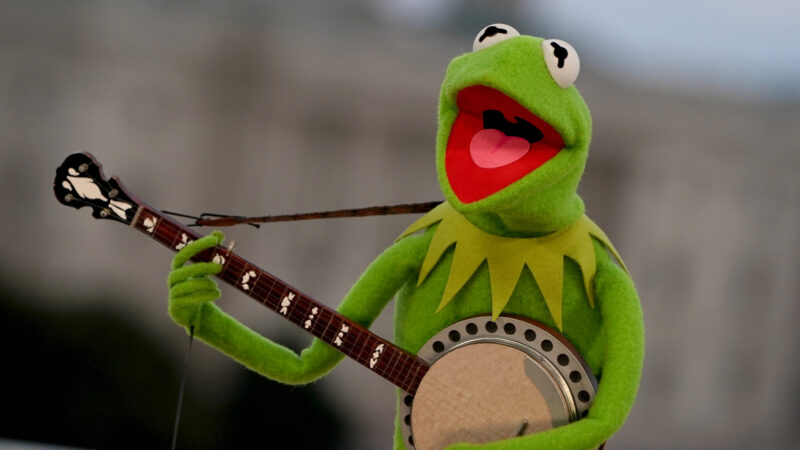 Muppets : Les 5 meilleures séries TV classées, découvrez notre sélection.