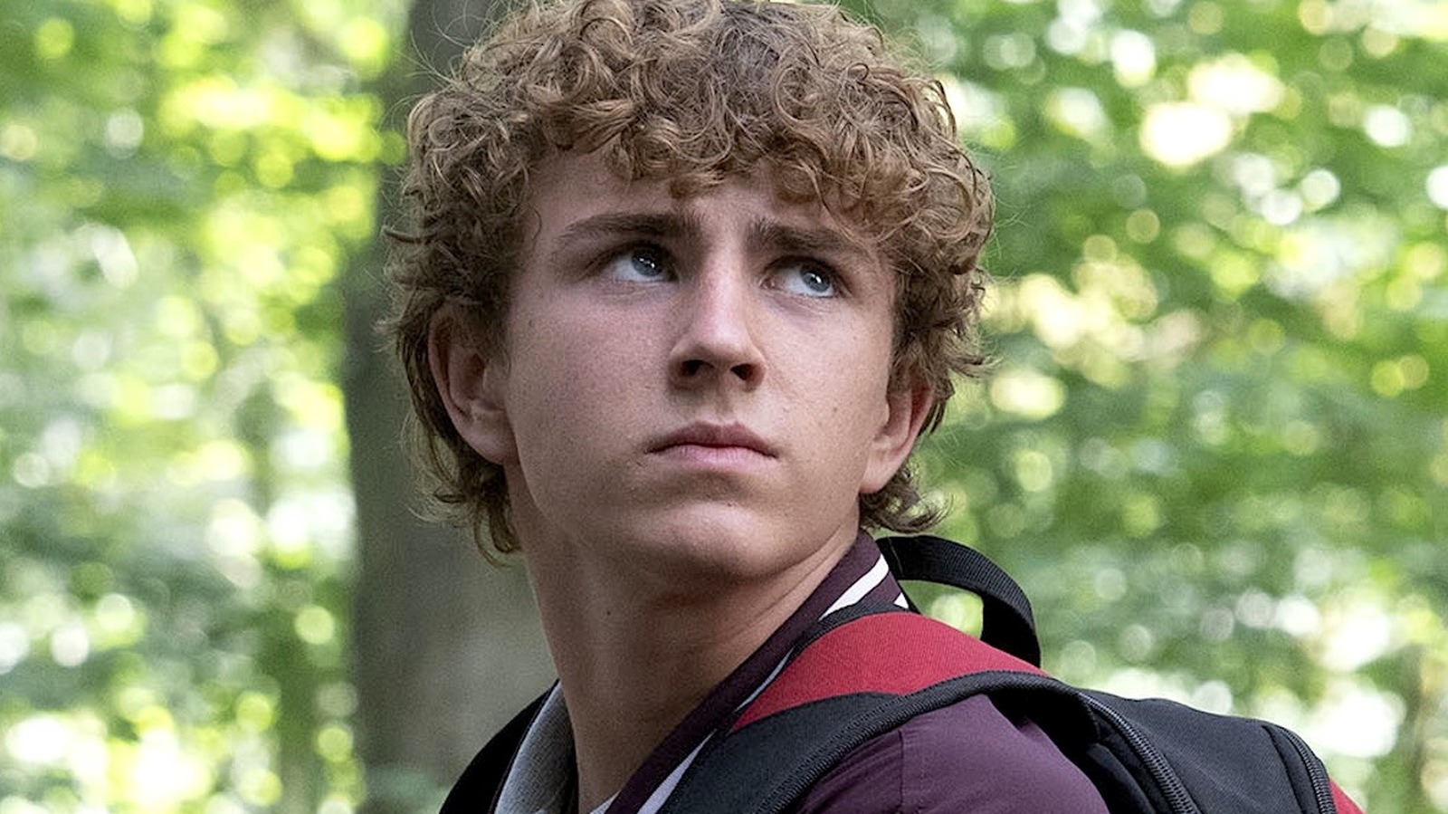 Percy Jackson : La nouvelle série Disney trouve un nouvel public sur un autre service de streaming.