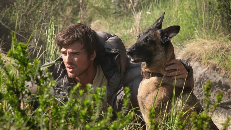 Top nouveaux films à découvrir cette semaine : Ce que vous devez savoir sur Paramount+, Hulu et Peacock.