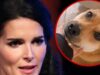 Angie Harmon's Family Dog Shot and Killed By Deliveryman