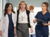 Grey's Anatomy Season 22 Finale Ending Explained: Amelia & Cass Hook Up