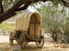 Netflix Adds Cast Members for LITTLE HOUSE ON THE PRAIRIE